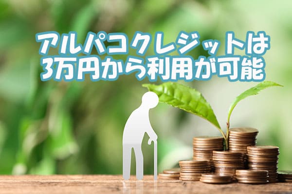 実際に私がアルパコクレジットを利用してみました